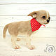 Order Needle felted toy Chihuahua dog. Yulia Steklyannikova (julias14). Livemaster. . Felted Toy Фото №3