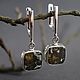 Метеоритные серьги метеорит Сеймчан Meteorite Seymchan Earrings, Серьги классические, Санкт-Петербург,  Фото №1