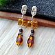 Amber. Earrings 'Gifts are not superfluous' amber silver, Earrings, Moscow,  Фото №1
