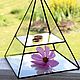 Order Jewelry box . Glass pyramid. Display. Glass Flowers. Livemaster. . Chests Фото №3