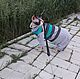 Clothing for cats 'jacket Stripes green', Pet clothes, Biisk,  Фото №1
