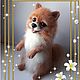 Order Toys: Spitz wool. woolmiracle (woolmiracle). Livemaster. . Felted Toy Фото №3