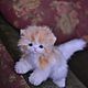 Мастер Класс Котята. Мягкие игрушки. Николаева Екатерина (hand-made-teddy). Ярмарка Мастеров.  Фото №5