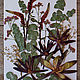 Сухоцветы плоские "экзотика" крупные (набор -1), Цветы сухие и стабилизированные, Егорьевск,  Фото №1