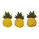 Embroidery applique pineapple stripe decal for scrapbook and clothing, Applications, Moscow,  Фото №1