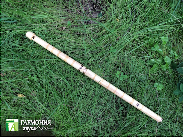 Мой профиль