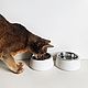 Миски для домашних животных. Миска для питомца. ANYMEOW. Интернет-магазин Ярмарка Мастеров.  Фото №2