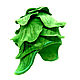  cabbage, Caps, Kalachinsk,  Фото №1