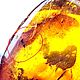 Янтарь Инклюз с Насекомыми 16,1гр. Камни. Glessit. Интернет-магазин Ярмарка Мастеров.  Фото №2