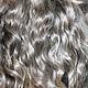 Hair for dolls (grey, natural, washed) Curls Curls for Curls for dolls, dolls to buy Hair for dolls, buy Handmade Fair Masters

