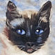 Картина шерстью Сиамская кошка, Картины, Киржач,  Фото №1