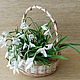 Basket with snowdrops made of polymer clay, Composition, Voskresensk,  Фото №1