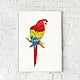  Watercolor Rainbow Parrot. Pictures. natabold. Online shopping on My Livemaster.  Фото №2