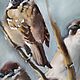 Order Pastel painting Sparrows (grey blue beige birds). Pastelena. Livemaster. . Pictures Фото №3