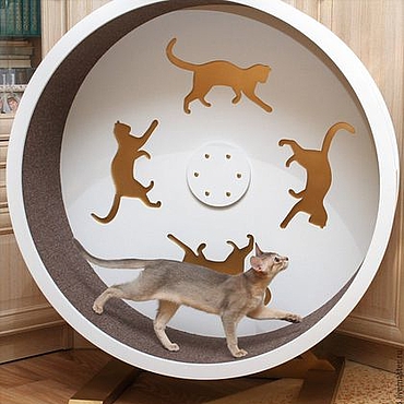 Беговое колесо для кошки! Кототрек — тренажёр в наличии! +79688399325
