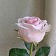 Роза из холодного фарфора. Цветы. Цветочный образ. Ярмарка Мастеров.  Фото №6