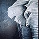 Интерьерная картина «Слон», Картины, Челябинск,  Фото №1
