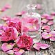 el perfume 'Hemos de reflejar el uno al otro', Perfume, Solovetsky,  Фото №1