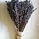 flowers and floristry: Bouquet of lavender in birch bark, Flowers are dry and stable, Moscow,  Фото №1