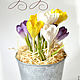 crocuses. Arrangement in a tin bucket. Flowers. KG_flowers. My Livemaster. Фото №4