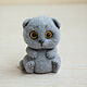 Scottish fold cat, dry felting. Felted Toy. touch-me. Online shopping on My Livemaster.  Фото №2