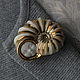 Brooch-pin: Snail Introvert, Brooches, Rostov-on-Don,  Фото №1