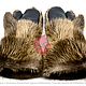  Зимние варежки из меха бобра. Варежки. Royal Furs. Ярмарка Мастеров.  Фото №5