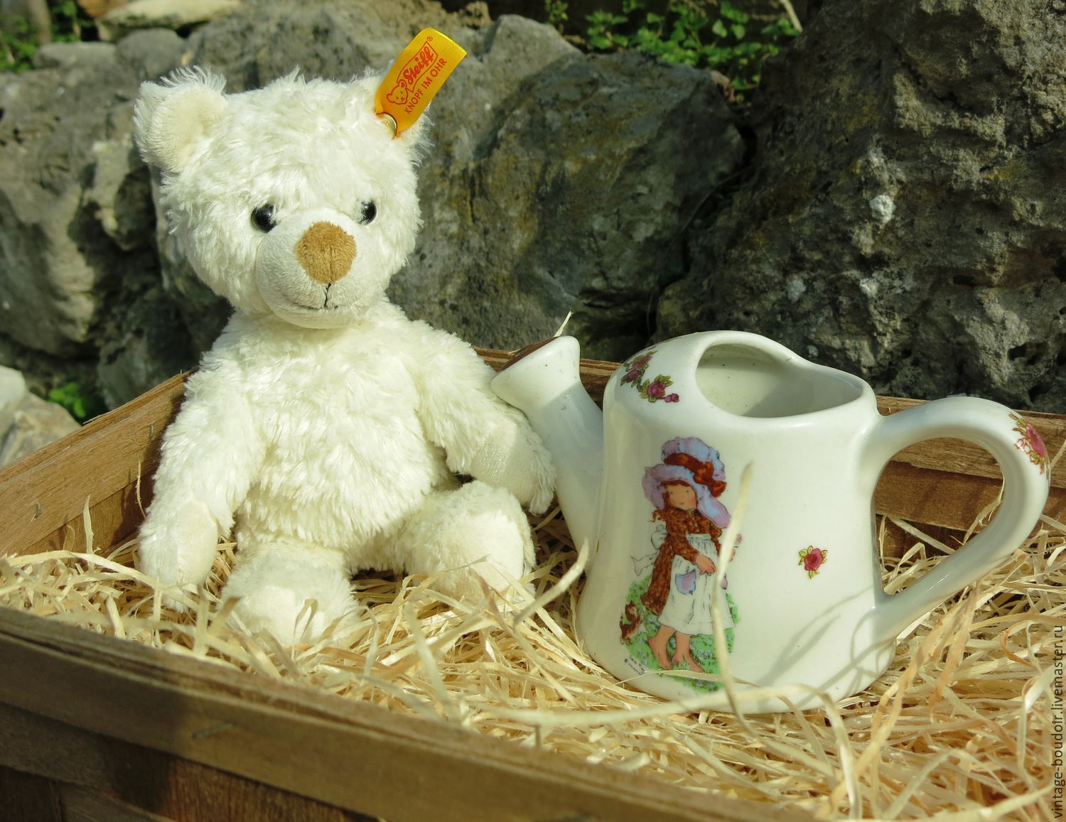 тедди белый