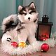 Реалистичная подвижная игрушка щенок хаски. Игрушки. Oksana-4a4. Ярмарка Мастеров.  Фото №5