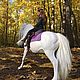 Настоящий конь для Барби. Белый жеребец. (Игрушка устойчива). Мини фигурки и статуэтки. Наталия Кузина (Zigon Barg). Интернет-магазин Ярмарка Мастеров.  Фото №2