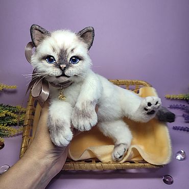 Куклы и игрушки ручной работы. Ярмарка Мастеров - ручная работа Мягкие игрушки: Маркиз котёнок породы рэгдолл. Handmade.