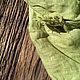 Платок изо льна LIME. Платки. Les Pois. Ярмарка Мастеров.  Фото №4