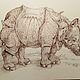  Durer's Rhinoceros. Pictures. Vintage Teddys House. Online shopping on My Livemaster.  Фото №2