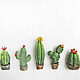 Cactus author's brooch made of polymer clay, brooch with cactus. Brooches. Bionika - Polymer Clay Jewelry (Bionika). Online shopping on My Livemaster.  Фото №2