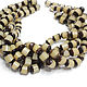Beads seeds of palm Storm cylinder 14h11mm 5 pcs, Beads1, Bryansk,  Фото №1