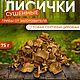 Лисичка сушеная,лисичка обыкновенная,грибы сушеные,грибы лесные, Дух-помощник, Новозыбков,  Фото №1