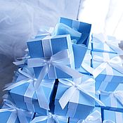 Букет невесты и бутоньерка бело-синие