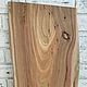 Слэб дерева Слэб карагача 55×28×3,2 см. Спилы дерева. Oxiwood. Интернет-магазин Ярмарка Мастеров.  Фото №2
