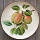Painted porcelain. Plate ' Apples», Plates, Kaluga,  Фото №1
