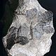 Order Stavrolit in slate(large collector's model) Keyvy.Kola Peninsula. Stones of the World. Livemaster. . Minerals Фото №3
