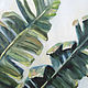 Banana palm Bali oil Painting. Pictures. Viktorianka. My Livemaster. Фото №4
