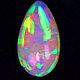 Ярчайший опал Snake Skin 8,24ct- 21х12мм «Жук», Кабошоны, Саратов,  Фото №1