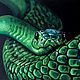 Green snake 21h30 seashell, paper Picture to order
