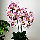 Bouquet-nightlight orchid 'Amelia' 3 twigs. Table lamps. Elena Krasilnikova. Online shopping on My Livemaster.  Фото №2