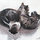 Картина акварелью. Спящая пара кота и кошки, Картины, Барнаул,  Фото №1