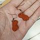 Серьги вязаные Капибара. Серьги классические. Amigurumi-20. Ярмарка Мастеров.  Фото №4
