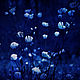 Snowberry fields photo pictures. Photo pictures nature. Fine art photographs. 'My s Muhtarom'. My Livemaster. Фото №6