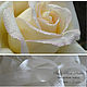 Silk ribbon 50 mm (3 m). Ribbons. Belle fleur studio. Online shopping on My Livemaster.  Фото №2