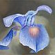 Oil painting on canvas "Iris flower after rain №3", Pictures, St. Petersburg,  Фото №1