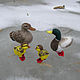 Miniature ' Duck family'. Stuffed Toys. Felted toys - WoolenTone. Online shopping on My Livemaster.  Фото №2